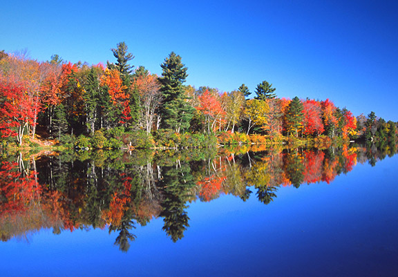 Drug Detox Program - Berkshire Mountain Health
